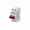 ABB E202 100A 2 POLE MAIN SWITCH