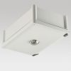 LED Maximus Goldstar™ D100