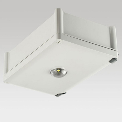 MaximusGoldstar-D100 LED Maximus Goldstar™ D100 - Image 1