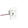 PDL Iconic Double Switch Power Point Vertical with Dual USB