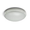 POLO LED G2 BULKHEAD